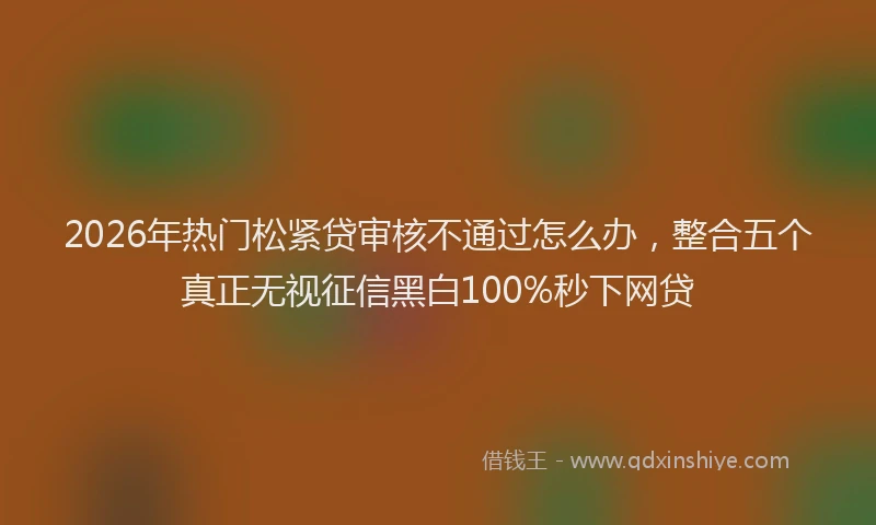 2026年热门松紧贷审核不通过怎么办，整合五个真正无视征信黑白100%秒下网贷