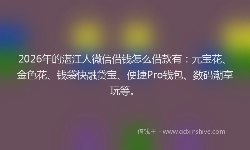 2026年的湛江人微信借钱怎么借款有：元宝花、金色花、钱袋快融贷宝、便捷Pro钱包、数码潮享玩等。