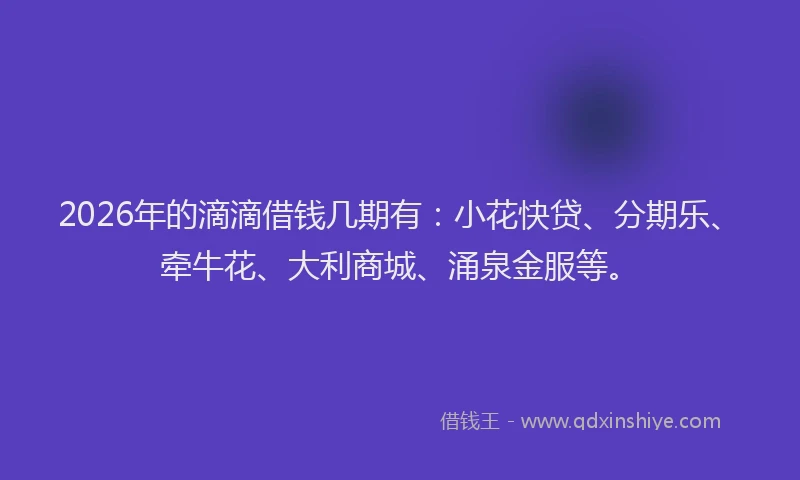 2026年的滴滴借钱几期有：小花快贷、分期乐、牵牛花、大利商城、涌泉金服等。