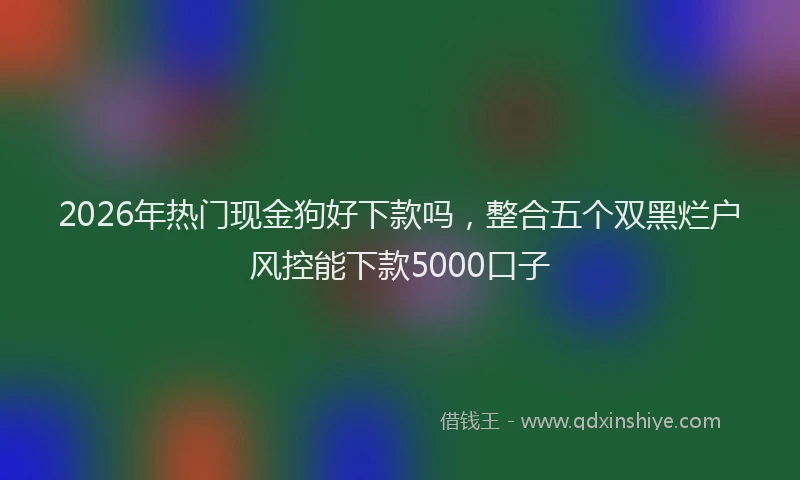 2026年热门现金狗好下款吗，整合五个双黑烂户风控能下款5000口子