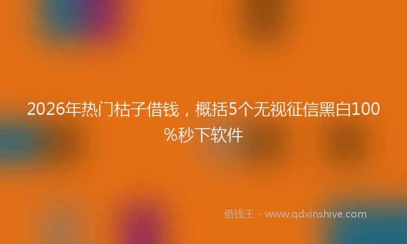 2026年热门枯子借钱，概括5个无视征信黑白100%秒下软件