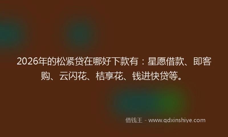 2026年的松紧贷在哪好下款有：星愿借款、即客购、云闪花、桔享花、钱进快贷等。