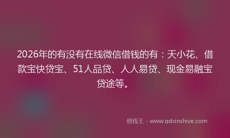 2026年的有没有在线微信借钱的有：天小花、借款宝快贷宝、51人品贷、人人易贷、现金易融宝贷途等。