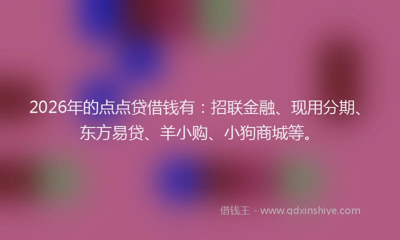 2026年的点点贷借钱有：招联金融、现用分期、东方易贷、羊小购、小狗商城等。