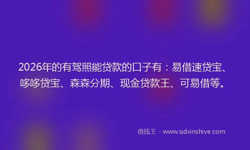 2026年的有驾照能贷款的口子有：易借速贷宝、哆哆贷宝、森森分期、现金贷款王、可易借等。