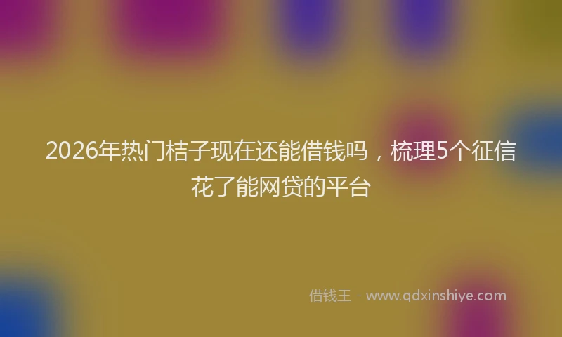 2026年热门桔子现在还能借钱吗，梳理5个征信花了能网贷的平台