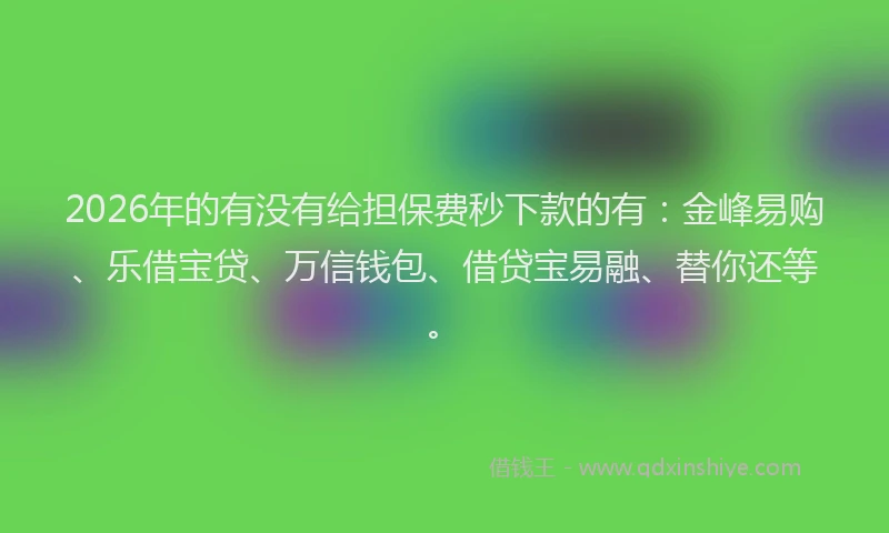 2026年的有没有给担保费秒下款的有：金峰易购、乐借宝贷、万信钱包、借贷宝易融、替你还等。