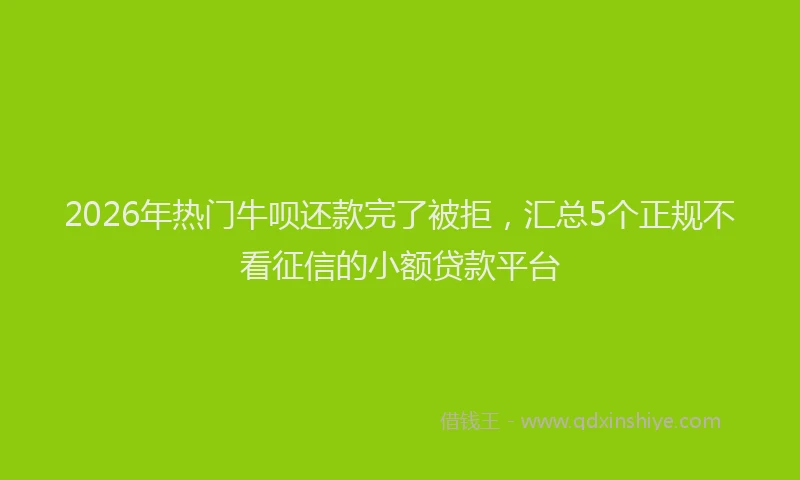 2026年热门牛呗还款完了被拒，汇总5个正规不看征信的小额贷款平台