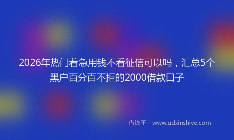2026年热门着急用钱不看征信可以吗，汇总5个黑户百分百不拒的2000借款口子
