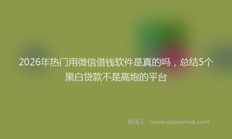 2026年热门用微信借钱软件是真的吗，总结5个黑白贷款不是高炮的平台