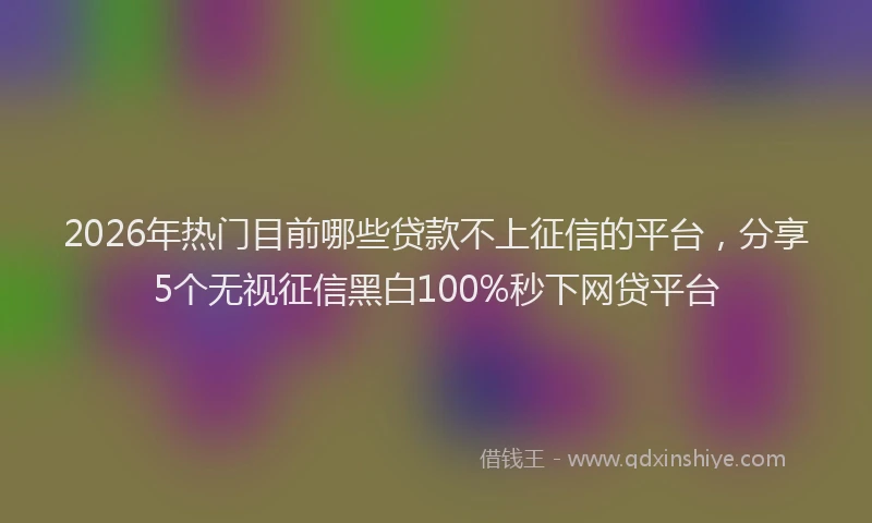 2026年热门目前哪些贷款不上征信的平台，分享5个无视征信黑白100%秒下网贷平台