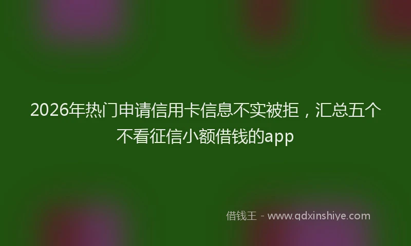2026年热门申请信用卡信息不实被拒，汇总五个不看征信小额借钱的app