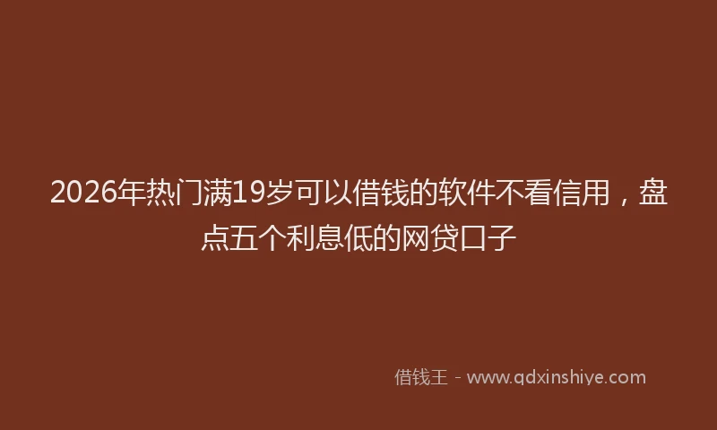 2026年热门满19岁可以借钱的软件不看信用，盘点五个利息低的网贷口子