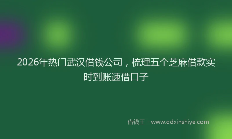 2026年热门武汉借钱公司，梳理五个芝麻借款实时到账速借口子