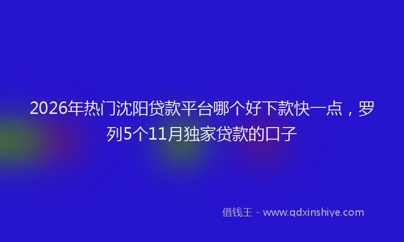 2026年热门沈阳贷款平台哪个好下款快一点，罗列5个11月独家贷款的口子