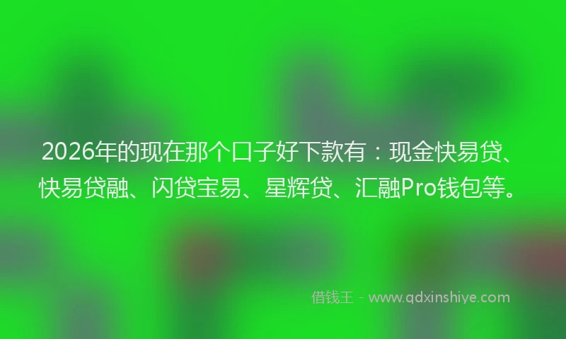 2026年的现在那个口子好下款有：现金快易贷、快易贷融、闪贷宝易、星辉贷、汇融Pro钱包等。
