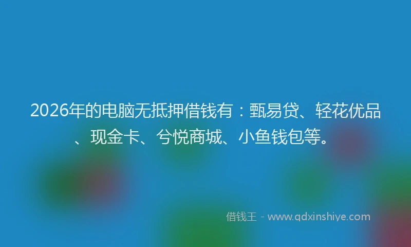 2026年的电脑无抵押借钱有:甄易贷、轻花优品、现金卡、兮悦商城、小鱼钱包等。