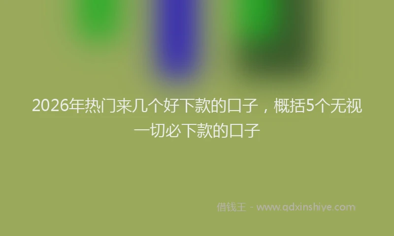 2026年热门来几个好下款的口子，概括5个无视一切必下款的口子