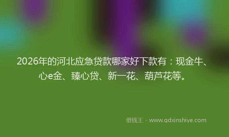 2026年的河北应急贷款哪家好下款有：现金牛、心e金、臻心贷、新一花、葫芦花等。