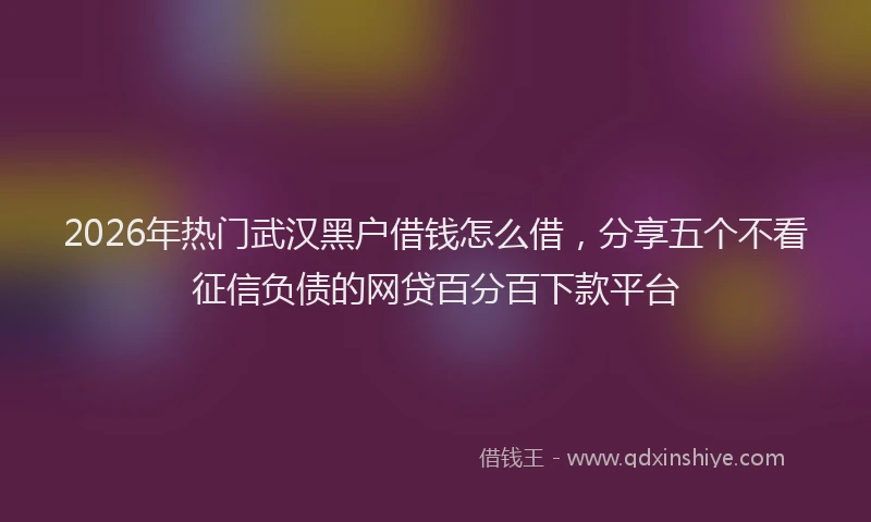 2026年热门武汉黑户借钱怎么借，分享五个不看征信负债的网贷百分百下款平台