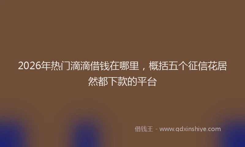 2026年热门滴滴借钱在哪里，概括五个征信花居然都下款的平台