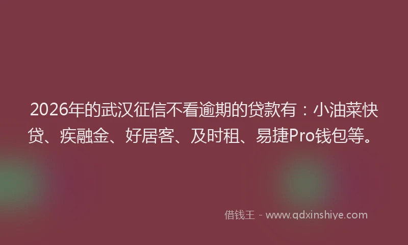 2026年的武汉征信不看逾期的贷款有：小油菜快贷、疾融金、好居客、及时租、易捷Pro钱包等。