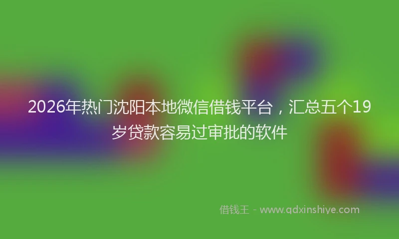 2026年热门沈阳本地微信借钱平台，汇总五个19岁贷款容易过审批的软件