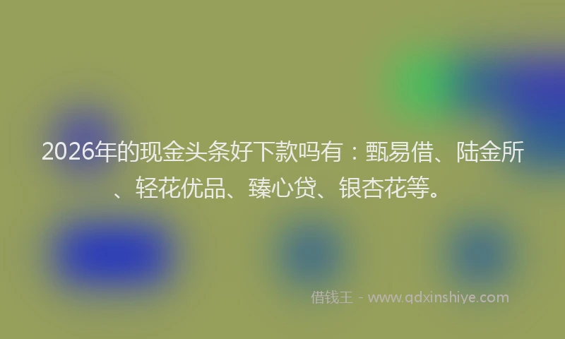 2026年的现金头条好下款吗有：甄易借、陆金所、轻花优品、臻心贷、银杏花等。