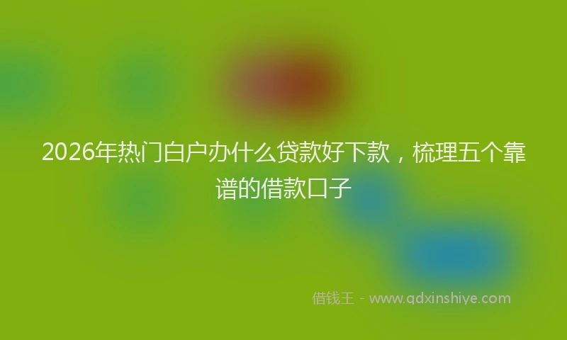 2026年热门白户办什么贷款好下款，梳理五个靠谱的借款口子