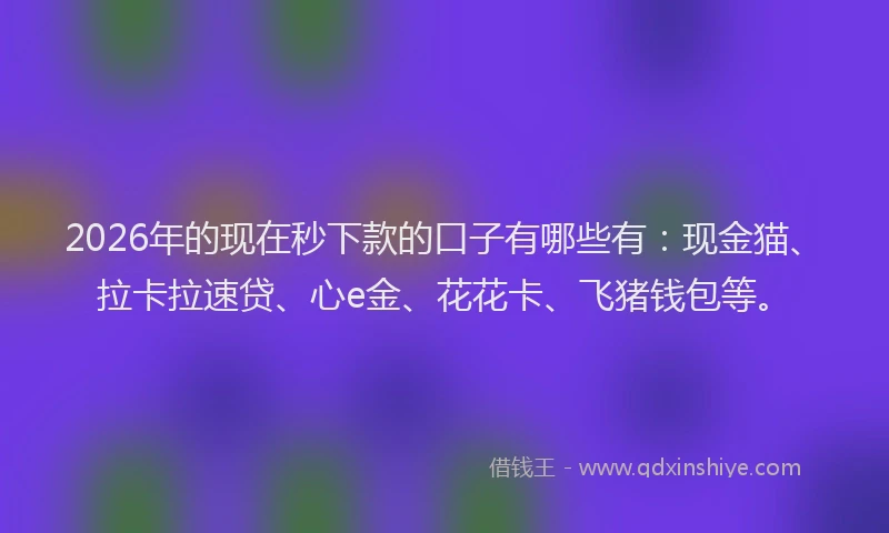 2026年的现在秒下款的口子有哪些有：现金猫、拉卡拉速贷、心e金、花花卡、飞猪钱包等。