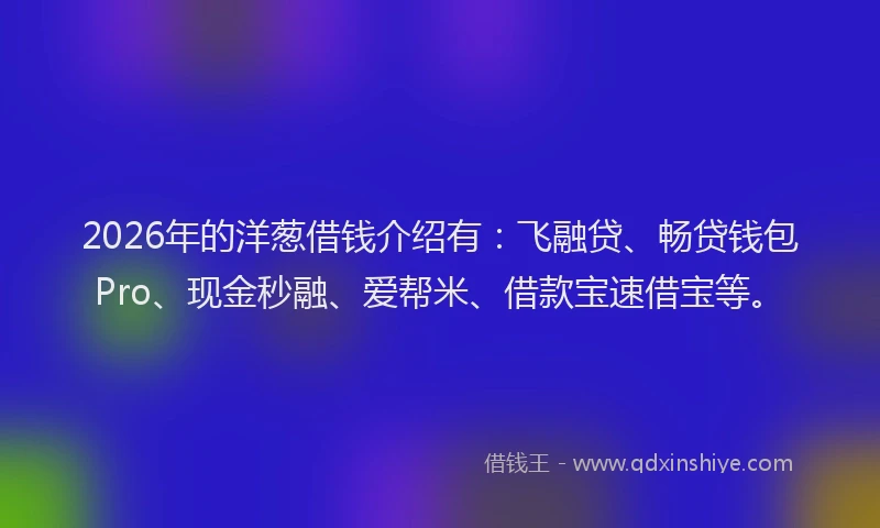 2026年的洋葱借钱介绍有：飞融贷、畅贷钱包Pro、现金秒融、爱帮米、借款宝速借宝等。