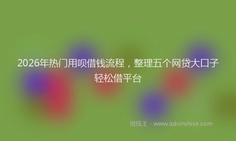 2026年热门用呗借钱流程，整理五个网贷大口子轻松借平台