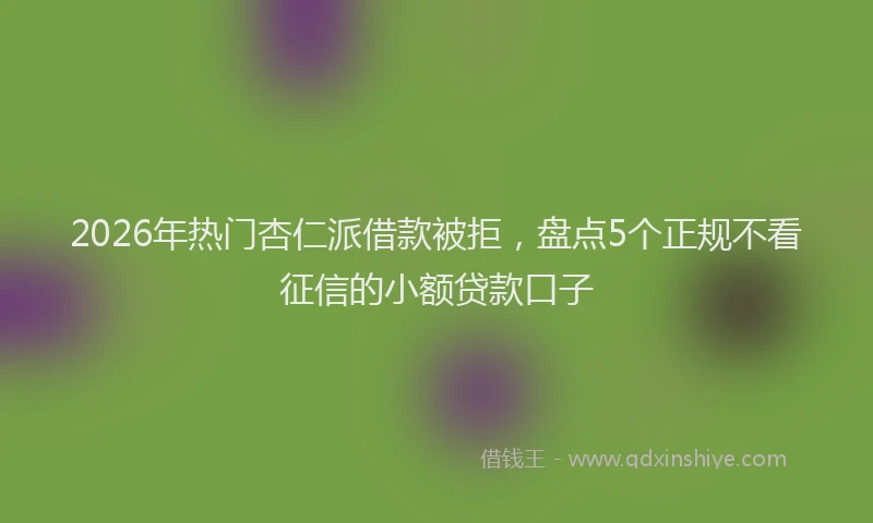 2026年热门杏仁派借款被拒，盘点5个正规不看征信的小额贷款口子