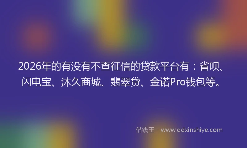 2026年的有没有不查征信的贷款平台有：省呗、闪电宝、沐久商城、翡翠贷、金诺Pro钱包等。