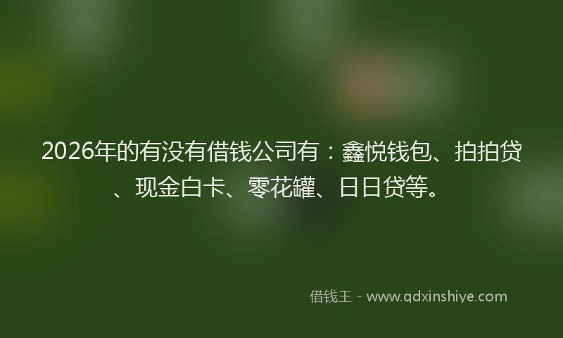 2026年的有没有借钱公司有:鑫悦钱包、拍拍贷、现金白卡、零花罐、日日贷等。