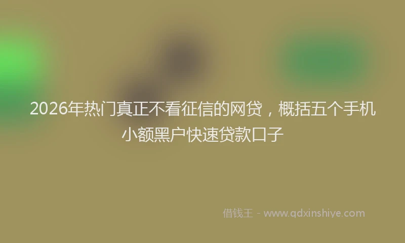 2026年热门真正不看征信的网贷，概括五个手机小额黑户快速贷款口子