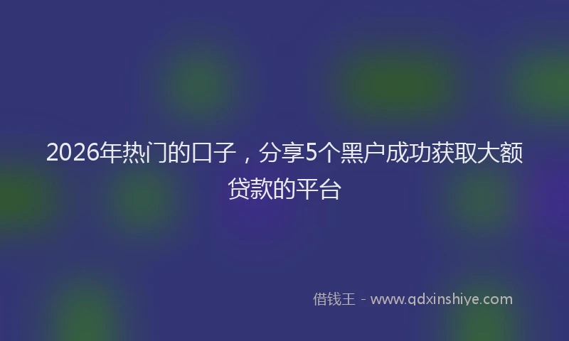 2026年热门的口子，分享5个黑户成功获取大额贷款的平台