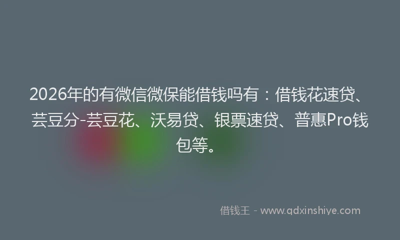 2026年的有微信微保能借钱吗有：借钱花速贷、芸豆分-芸豆花、沃易贷、银票速贷、普惠Pro钱包等。
