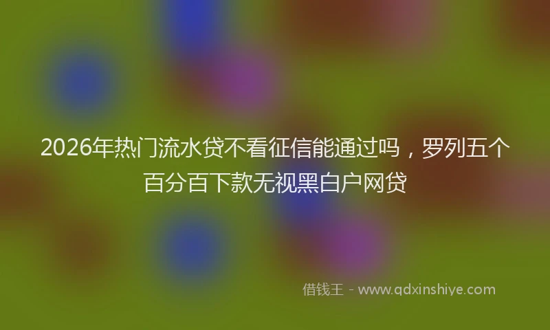 2026年热门流水贷不看征信能通过吗，罗列五个百分百下款无视黑白户网贷