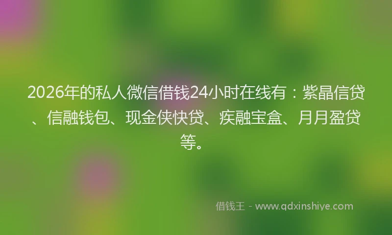 2026年的私人微信借钱24小时在线有：紫晶信贷、信融钱包、现金侠快贷、疾融宝盒、月月盈贷等。