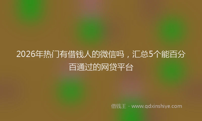 2026年热门有借钱人的微信吗，汇总5个能百分百通过的网贷平台