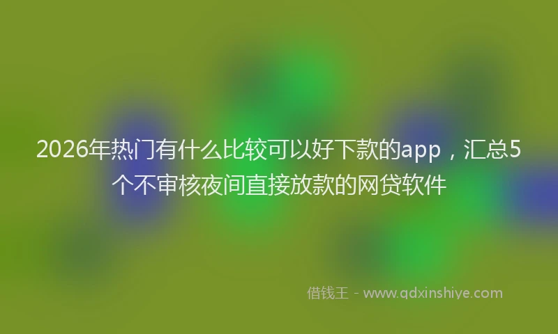 2026年热门有什么比较可以好下款的app，汇总5个不审核夜间直接放款的网贷软件