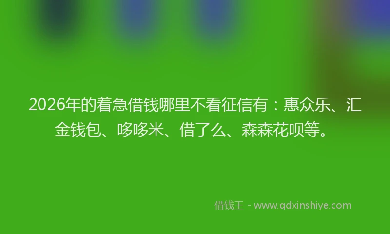 2026年的着急借钱哪里不看征信有：惠众乐、汇金钱包、哆哆米、借了么、森森花呗等。
