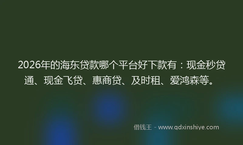 2026年的海东贷款哪个平台好下款有:现金秒贷通、现金飞贷、惠商贷、及时租、爱鸿森等。