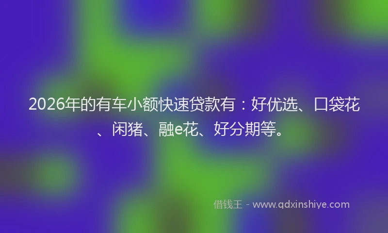 2026年的有车小额快速贷款有：好优选、口袋花、闲猪、融e花、好分期等。