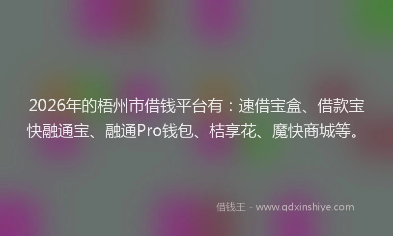 2026年的梧州市借钱平台有：速借宝盒、借款宝快融通宝、融通Pro钱包、桔享花、魔快商城等。