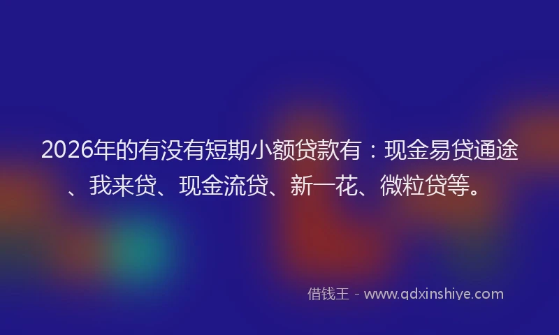2026年的有没有短期小额贷款有：现金易贷通途、我来贷、现金流贷、新一花、微粒贷等。