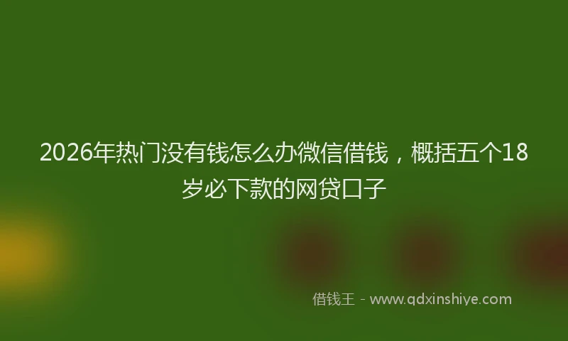 2026年热门没有钱怎么办微信借钱，概括五个18岁必下款的网贷口子
