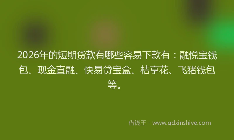 2026年的短期货款有哪些容易下款有：融悦宝钱包、现金直融、快易贷宝盒、桔享花、飞猪钱包等。