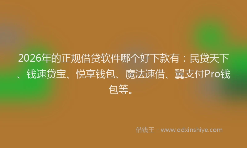 2026年的正规借贷软件哪个好下款有：民贷天下、钱速贷宝、悦享钱包、魔法速借、翼支付Pro钱包等。
